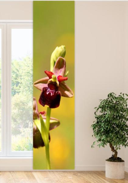 Wilde Orchidee, Flächenvorhang Einzel